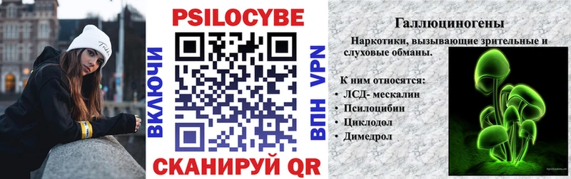 Галлюциногенные грибы Cubensis  магазин продажи наркотиков  ОМГ ОМГ   Североморск 